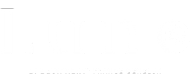light logo